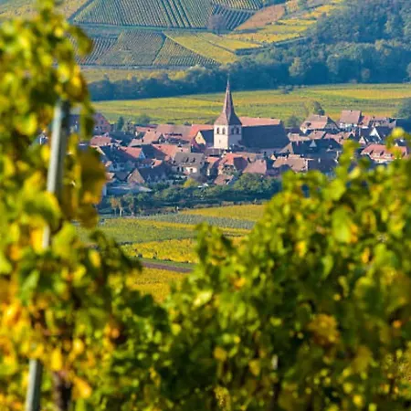 Jerry Et Joy 게스트하우스