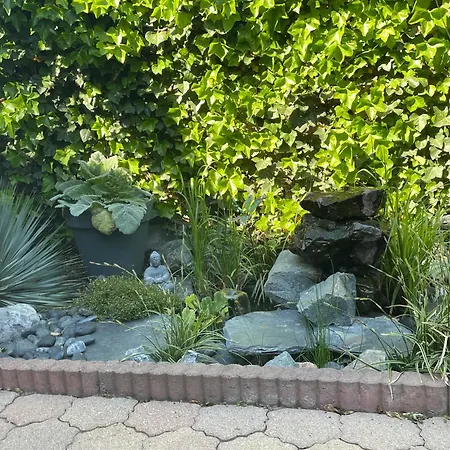 Jerry Et Joy Wolfisheim