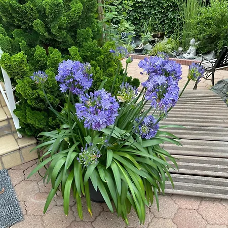 게스트하우스 Jerry Et Joy 3*