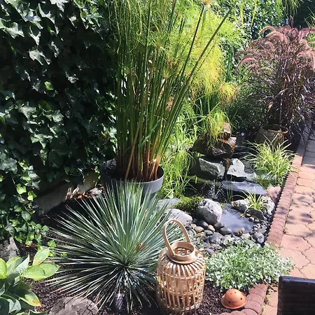 Jerry Et Joy Wolfisheim