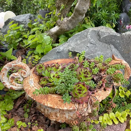 Jerry Et Joy 게스트하우스